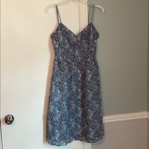 BB Dakota blue lace dress